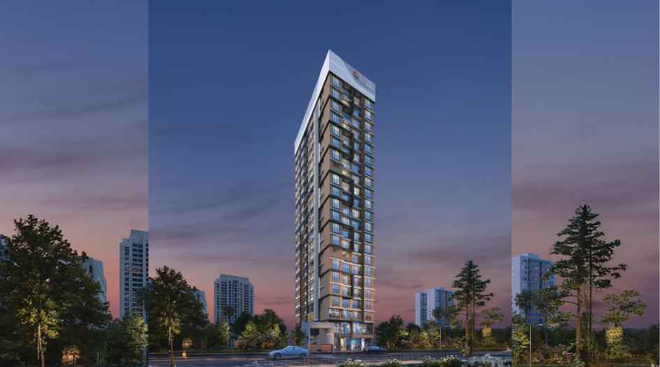 _ Elevation Image
